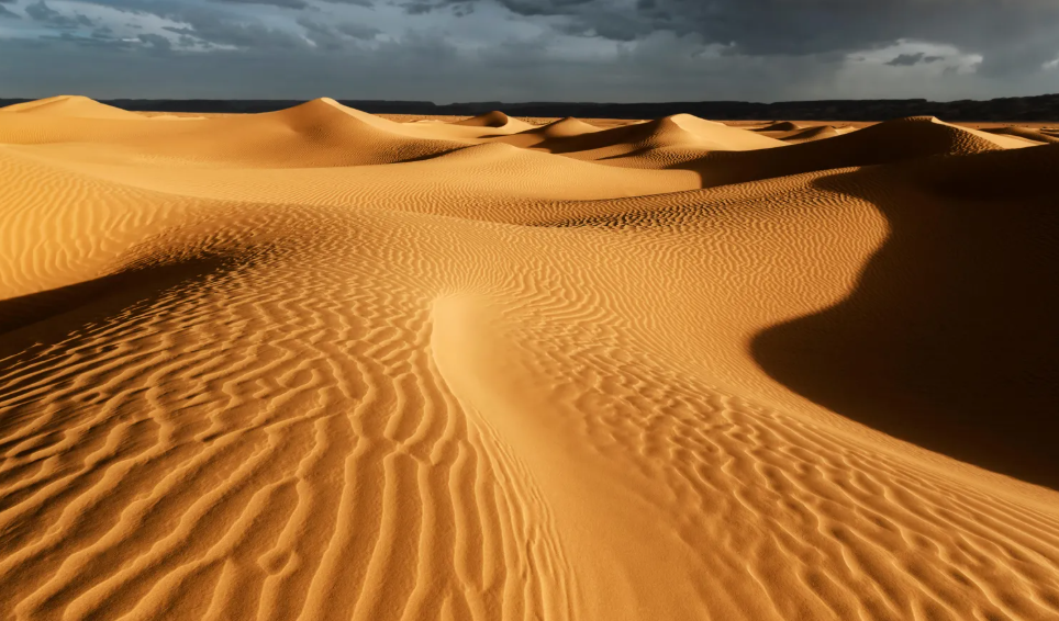 Fakta Mengejutkan! Gurun Sahara Ternyata Berkali-kali Berubah Menjadi Hutan dan Sabana